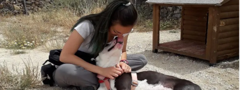 Camino a casa - rehabilitación y educación canina