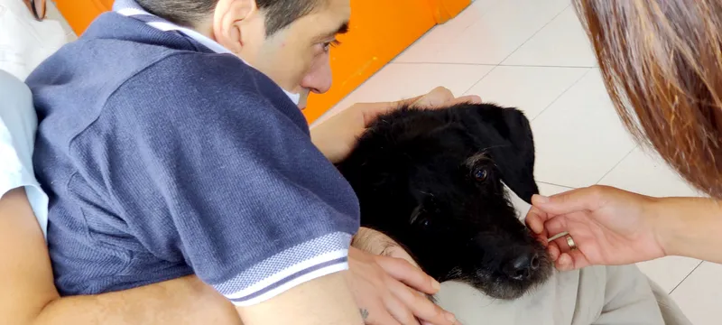 Huellas de inclusión: transformación y autonomía en parálisis cerebral