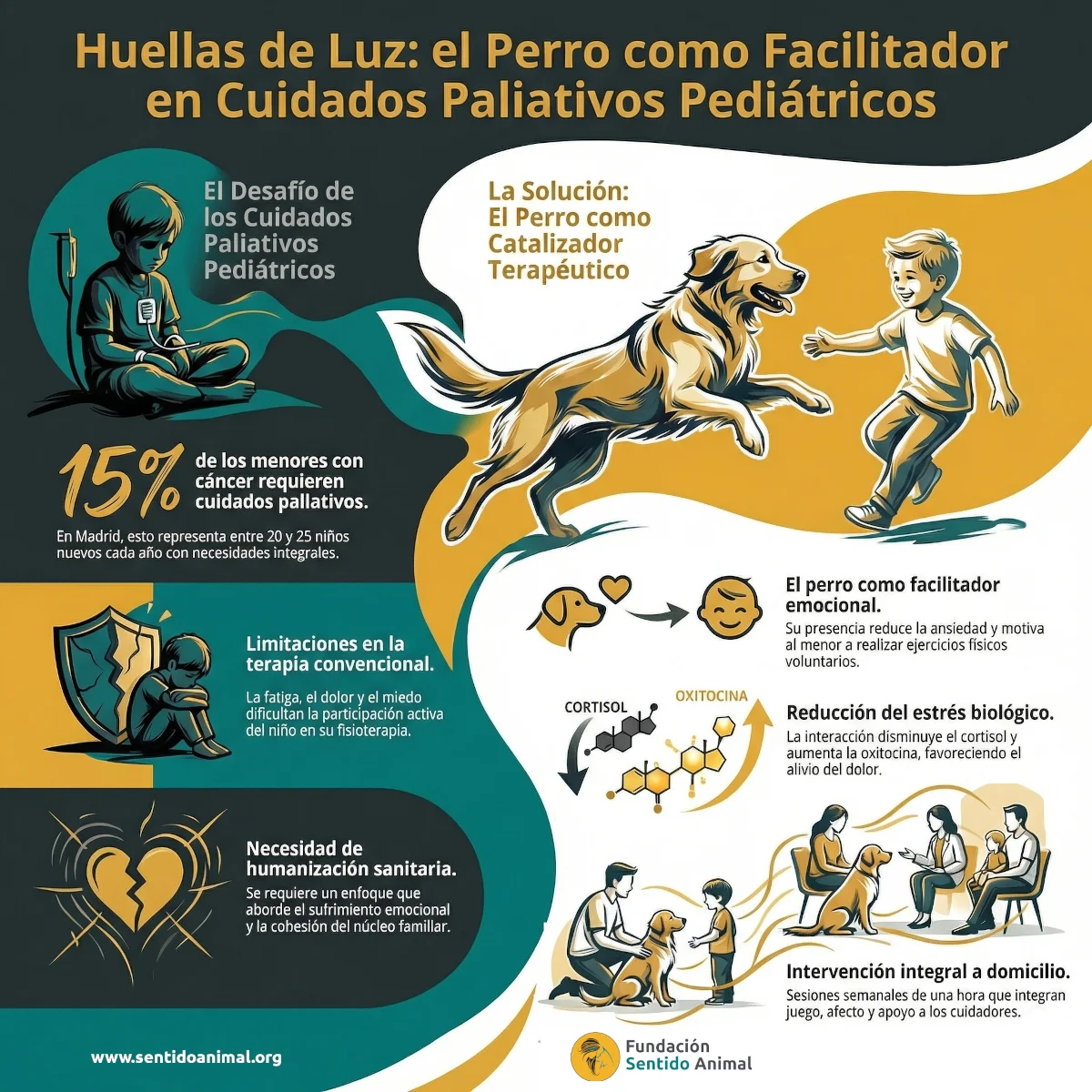 Huellas De Luz Infografía