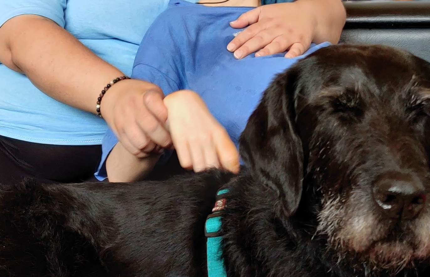 Mano Relajada En Pelo De Perra