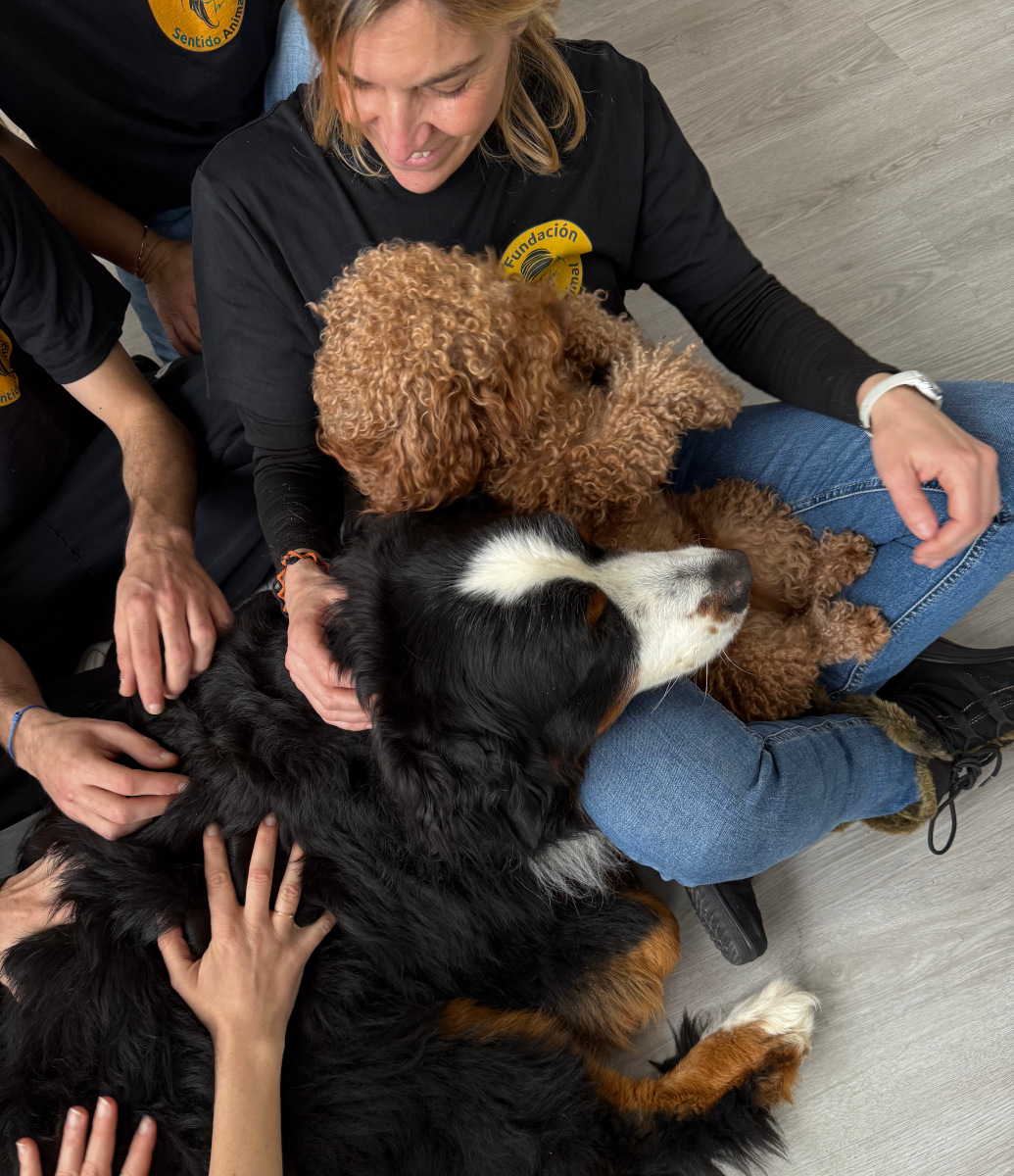 Natalia con Queen y Mika y manos acariciando