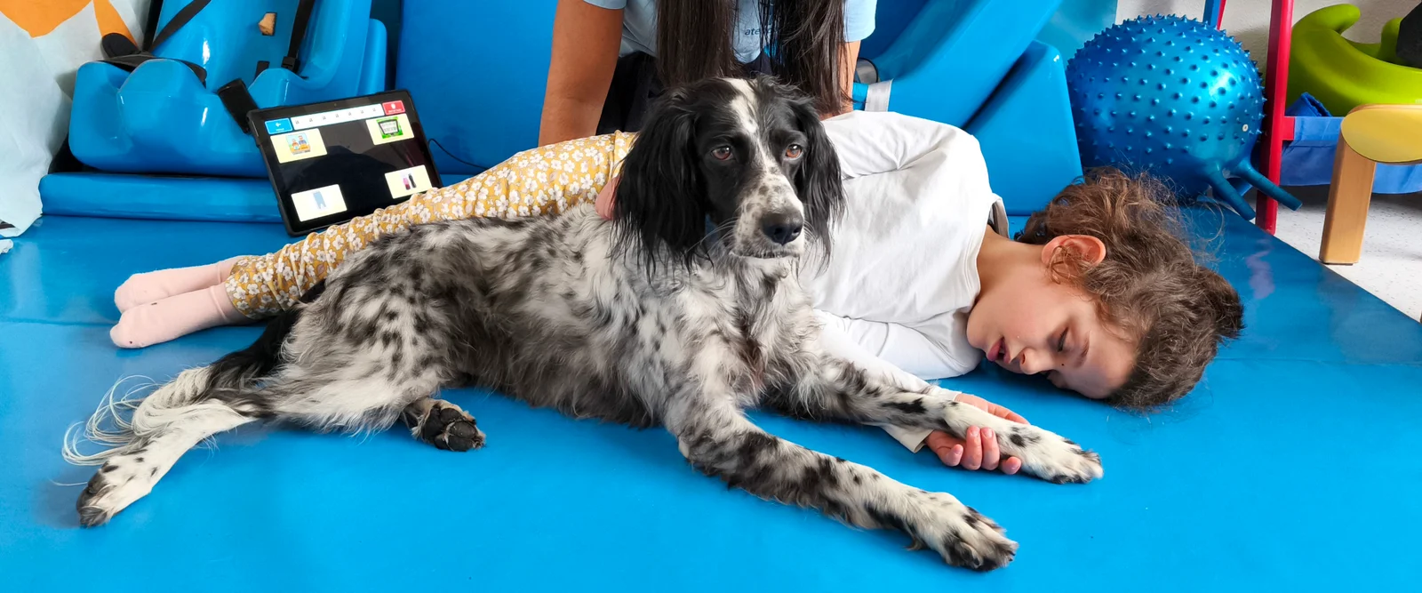 Un perro blanco y negro tumbado en una colchoneta azul de una sala de rehabilitación, pegado a la persona con la que trabaja, que descansa a su lado.