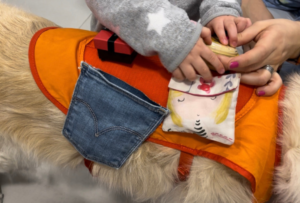 Yes We Can   Nil&ntilde;o En Sesi&oacute;n De Intervenciones Asistidas Con Animales En Hospital Ni&ntilde;o Jes&uacute;s Madrid