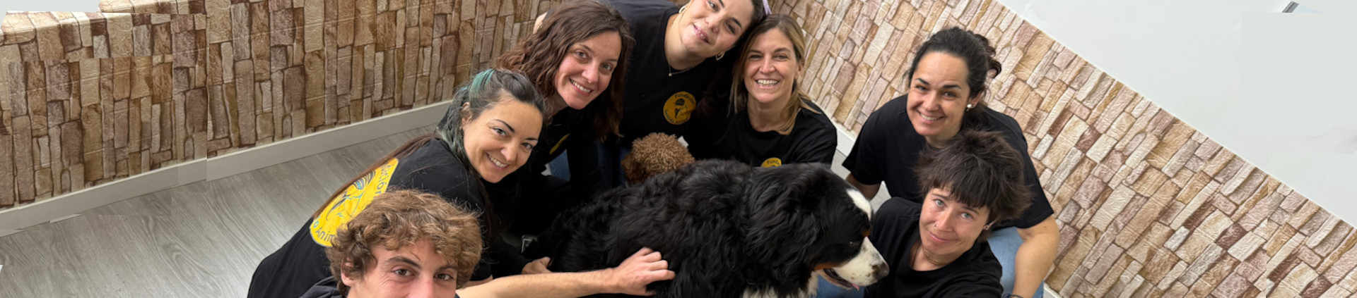 Cabecera Quiénes somos - Equipo humano y animal