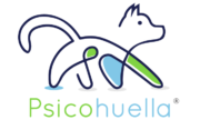 Psicohuella