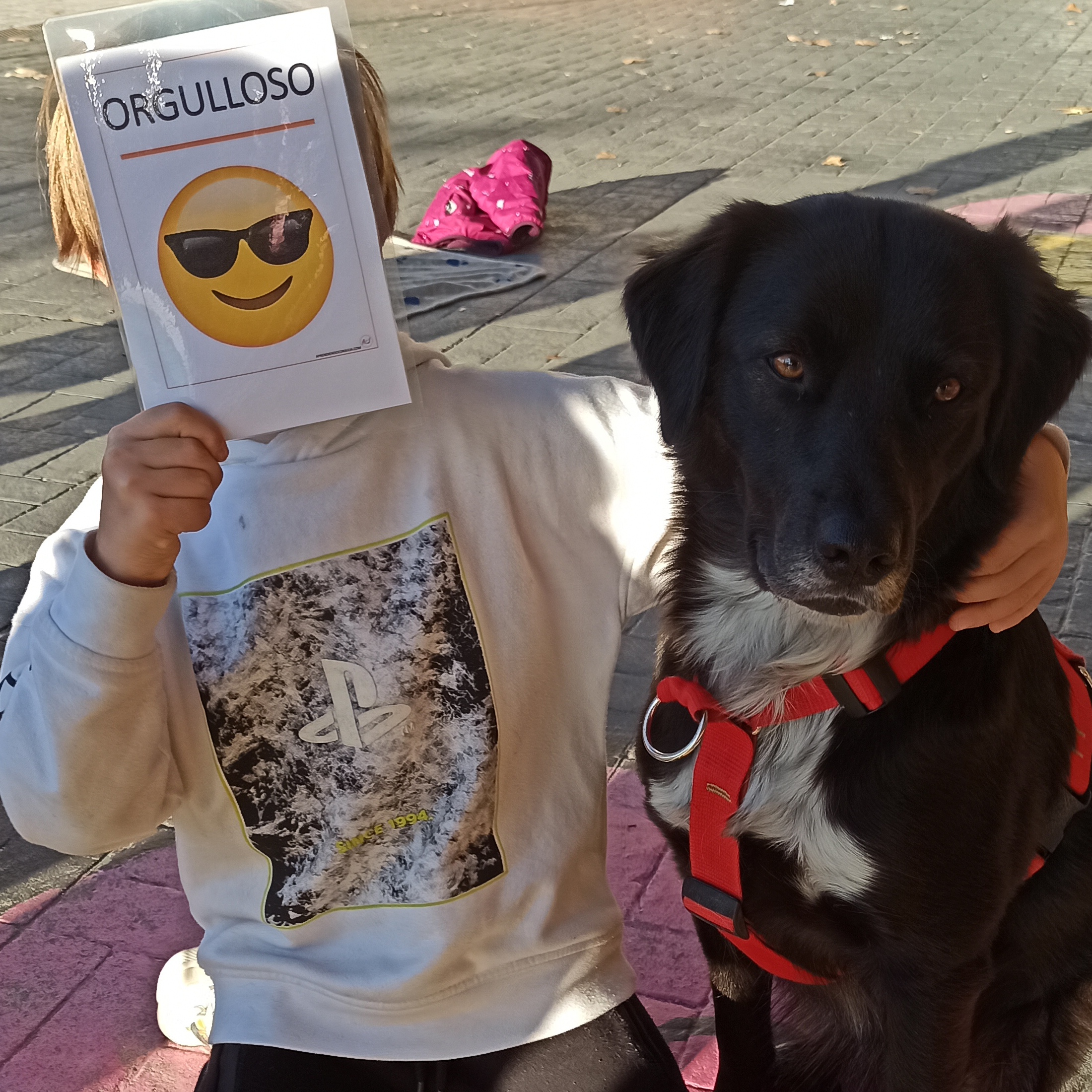 Intervenciones Asistidas con Animales