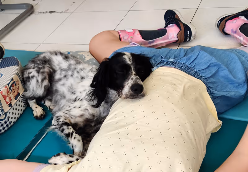 Programa Huellas de inclusión - Terapia asistida con animales para niña con parálisis cerebral